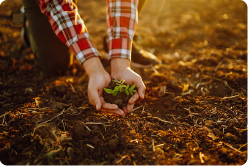 Imagen de introducción